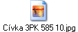 Cvka 3PK 585 10.jpg