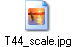 T44_scale.jpg