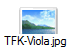 TFK-Viola.jpg