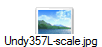 Undy357L-scale.jpg
