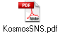 KosmosSNS.pdf