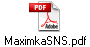 MaximkaSNS.pdf