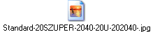 Standard-20SZUPER-2040-20U-202040-.jpg
