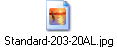 Standard-203-20AL.jpg