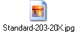 Standard-203-20X.jpg